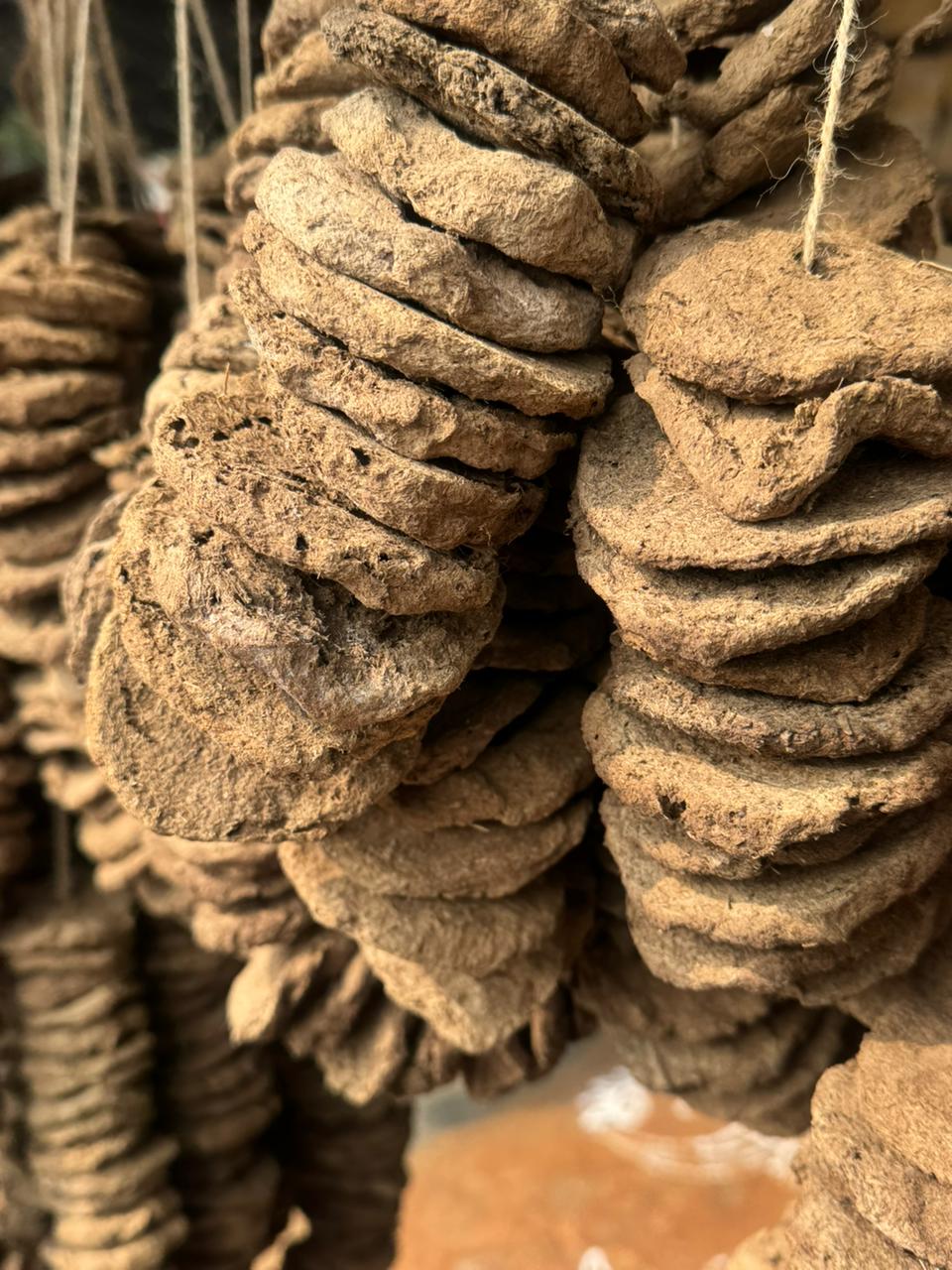 Pidakalu (Aavu Peda / Cow Dung)