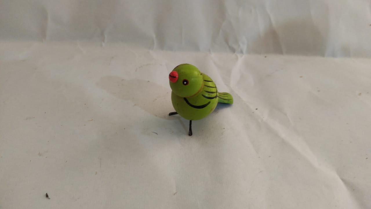 Etikoppaka beautiful parrot