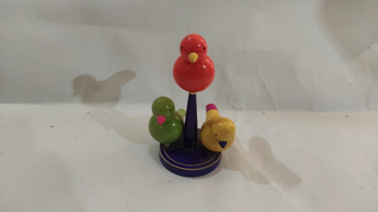 Etikoppaka chota little birds